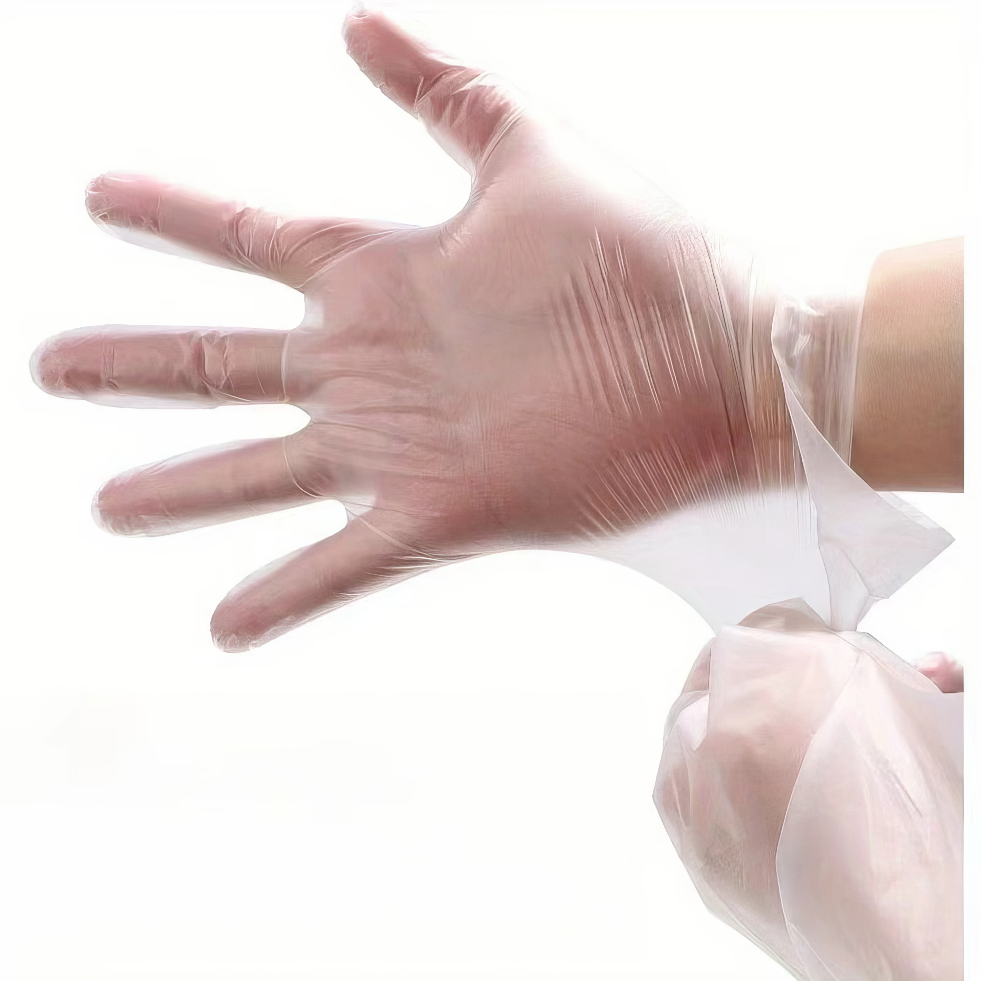 100PCS Bulk Disposable Clear P - Commercial Kitchen Needs recension och pris