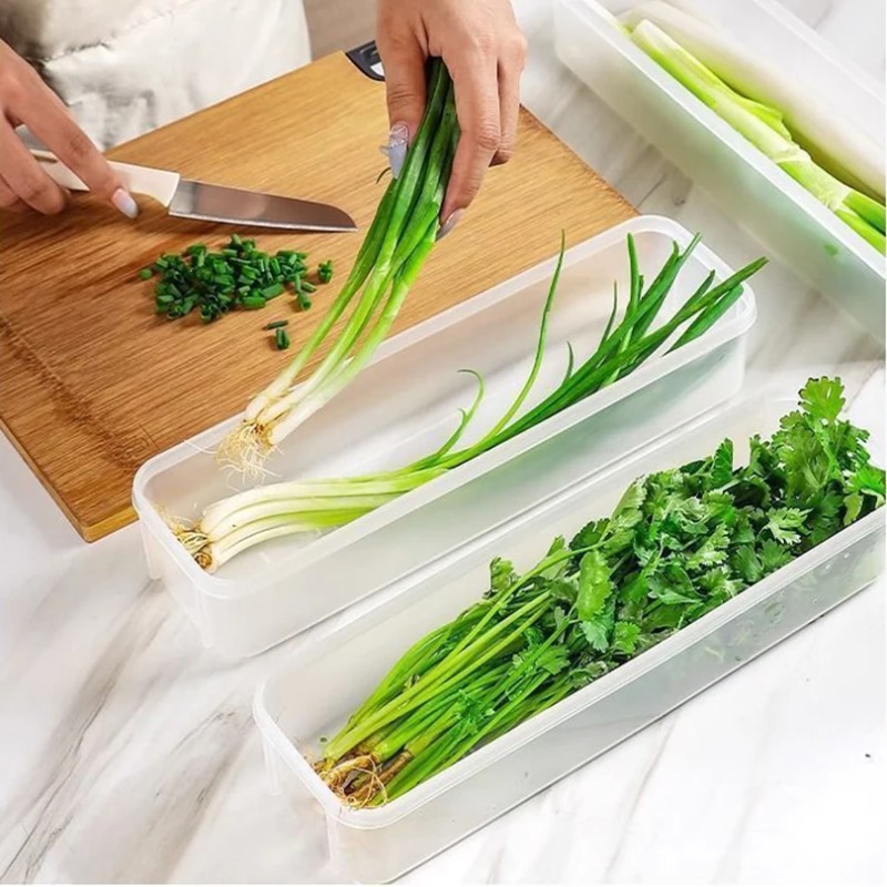 1/2/4Pcs Green Onion Fresh-kee - Commercial Kitchen Refrigerator recension och pris